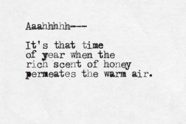 Aaahhhhh--- It's that time of year when the rich scent of honey permeates the warm air. 