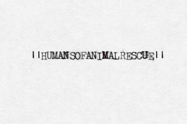 ||HUMANSOFANIMALRESCUE|| 