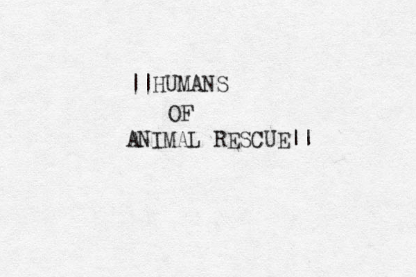 ||HUMANS OF ANIMAL RESCUE||