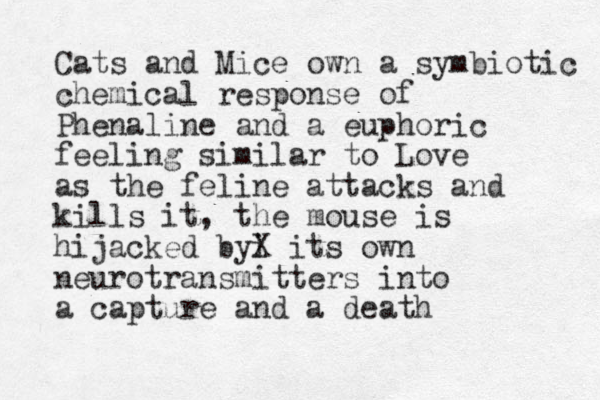 Cats and Mice own a symbiotic chemical response of Phenaline and a euphoric feeling similar to Love as the feline attacks and kills it, the mouse is hijacked byi X its own neurotransmitters into a capture and a death