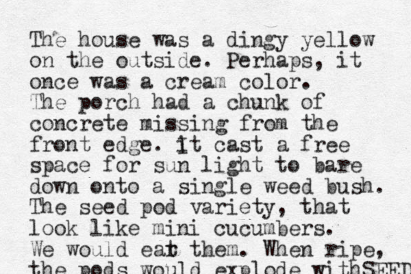 The house was a dingy yellow on the outside. Perhaps, it once was a cream color. The porch had a chunk of concrete missing from the front edge. it I cast a free space for sun light to bare down onto a single weed bush. The seed pod variety, that look like mini cucumbers. We would ear t them. When ripe, the pods would explode withSEED 