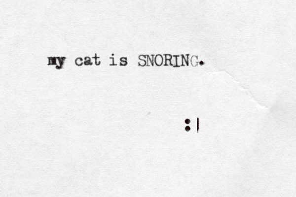 my cat is SNORING. :| 