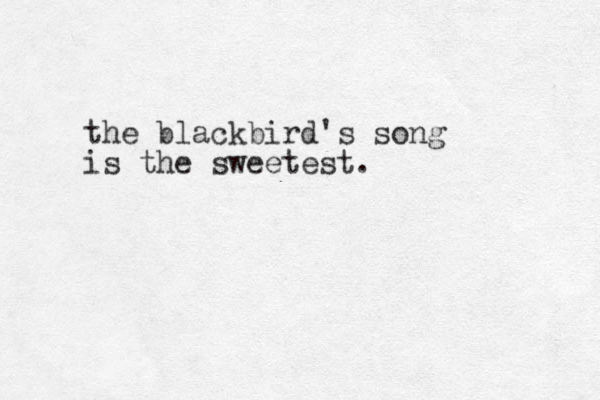 the blackbird's song is the sweetest.
