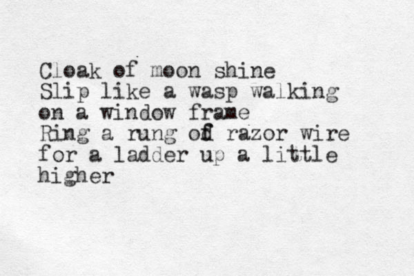 Cloak of moon shine Slip like a wasp walking on a window frame Ring a rung od f f razor wire for a ladder up a little higher