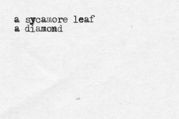 a sycamore leaf a diamond