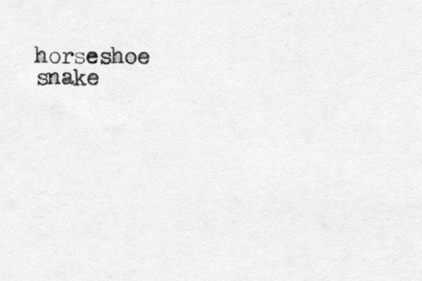 horseshoe snake