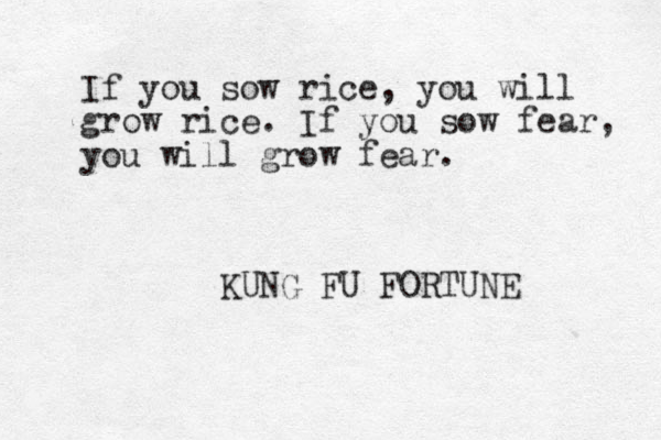 If you sow rice, you will grow rice. If you sow fear, you will grow fear. KUNG FU FORTUNE 