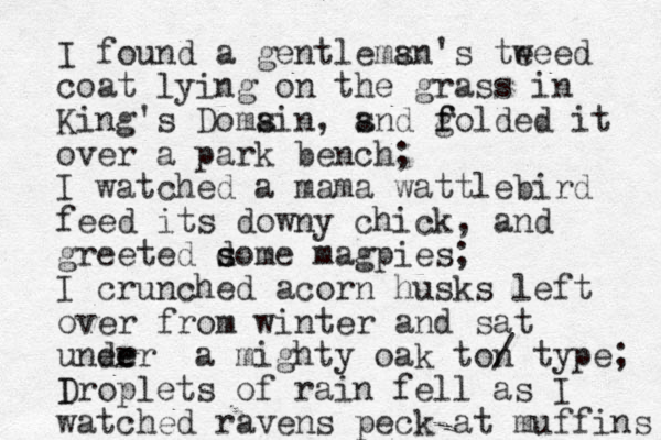 I found a gentlemsn a 's te weed coat lying on the grass in King's Domsin a , snd a golded f f it over a park bench; I watched a mama wattlebird feed its downy chick, and greeted dome s s magpies; I crunched acorn husks left over from winter and sat uner der e a mighty oak ton / type; I Droplets of rain fell as I watched ravens peck at muffins 