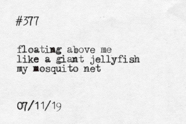 #377 floating above me like a giant jellyfish my mosquito net 07/11/19