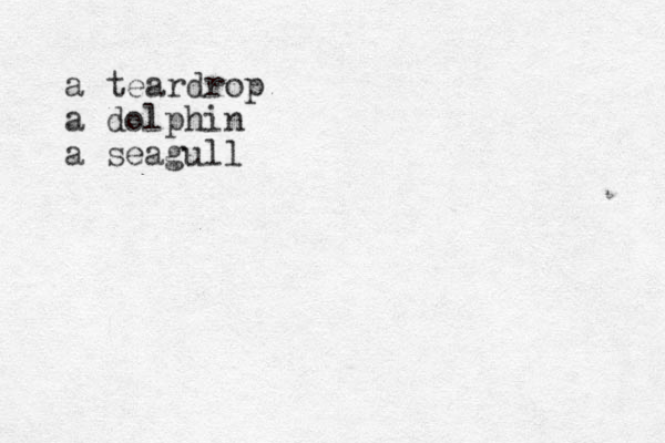 a teardrop a dolphin a seagull