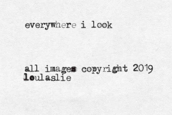 everywhere i look all images copyright 2019 loulaslie