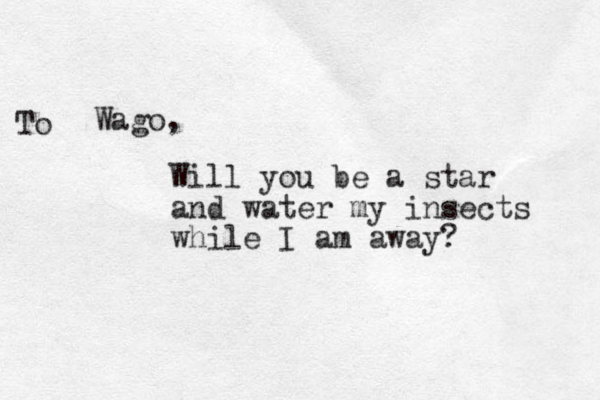 Wago, To Will you be a star and water my insects while I am away? 