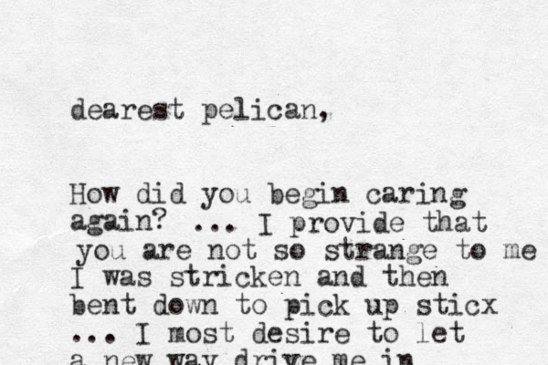 dearest pelican, How did you begin caring again? I was stricken and then bent down to pick up sticx ... I most desire to let a new way drive me in ... I provide that you are not so strange to me 