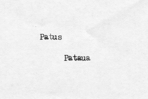 Patus Pataua
