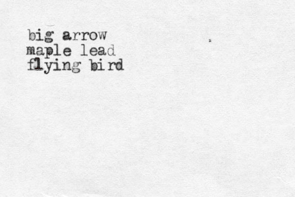 big arrow maple lead flying bird