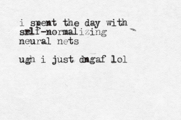 i spent the day with srlf-normalizing neural nets ugh i just dngaf lol
