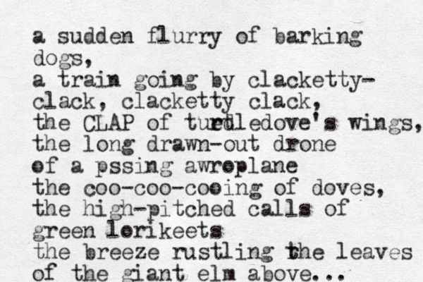 a sudden flurry of barking dogs, a train going by clacketty- clack, clacketty clack, the CLAP of tued r rtledove's wings, the long drawn-out drone of a pssing awroplane the coo-coo-cooing of doves, the high-pitched calls of green lorikeets the breeze rustling rhe t t leaves of the giant elm above...