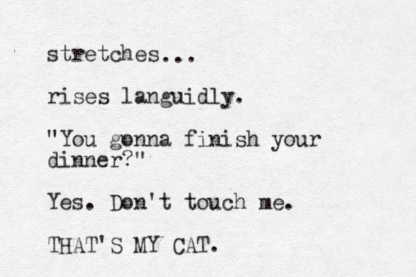 stretches rises languidly. "You gonna finish your dinner?" Yes. Don't touch me. THAT'S MY CAT. ... 