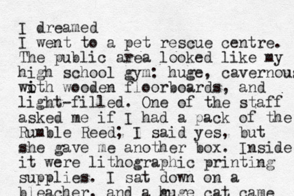 I dreamed I went to a pet rescue centre. The public area looked like my high school gym: huge, cavernous woth i i wooden floorboards, and light-filled. One of the staff asked me if I had a pack of the Rumble Reed; I said yes, but she gave me another box. Inside it were lithographic printing supplies. I sat down on a bleacher, and a g huge cat came 