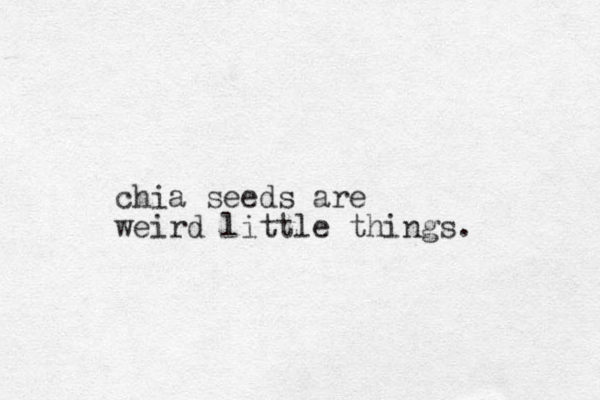 chia seeds are weird little things. 