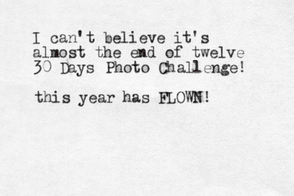 I can't believe it's almost the end of twelve 30 Days Photo Challenge! this year has FLOWN!