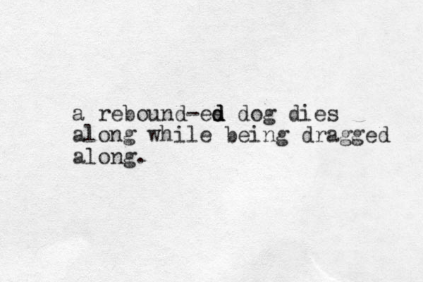 a rebound -es d d d dog dies along while being dragged along.
