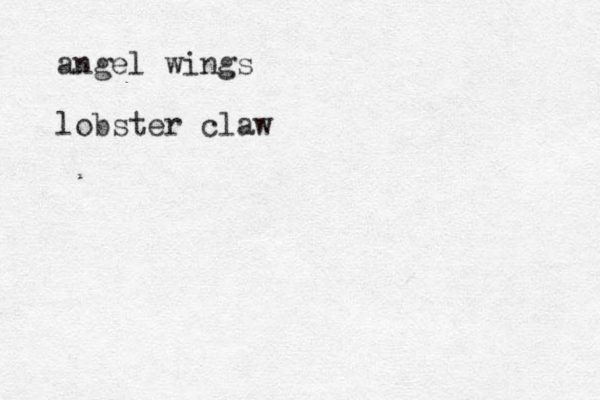 angel wings lobster claw