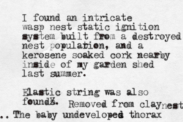 I found an intricate wasp nest static ignition system built from a destroyed nest popularion t , and a kerosene soaked cork nearby inside of my garden shed last summer. Elastic string was also founds X Z . The baby undevelopes d d thorax Removed from clay nest ..