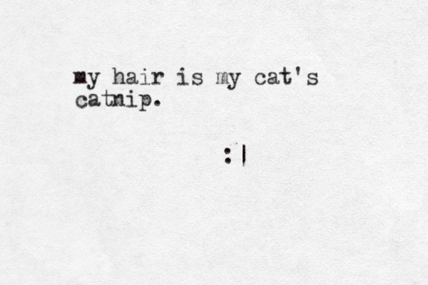 my hair is my cat's catnip. :|