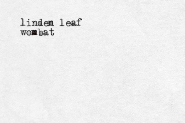 linden leaf wombat