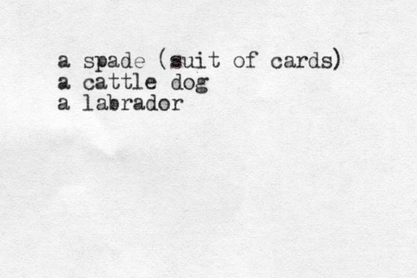 a spade (suit of cards) a cattle dog a labrador