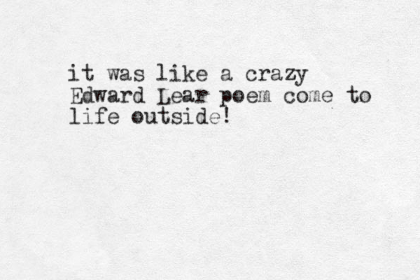 it was like a crazy z Edward Lear poem come to life outside!