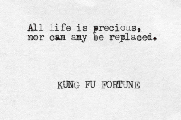 All life is precious, nor can any be replaced. KUNG FU FORTUNE 