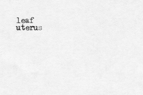 leaf uterus