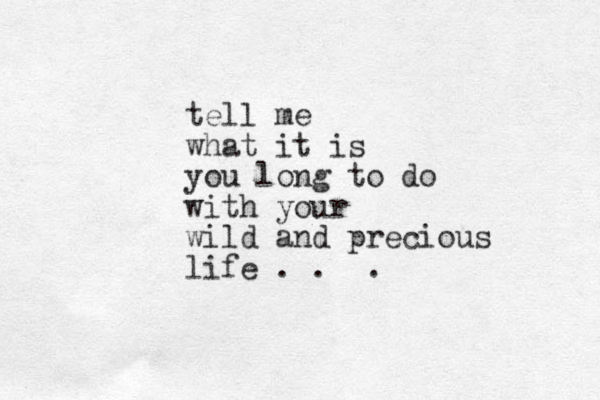 tell me what it is you long to do with your wild and precious life . . . 