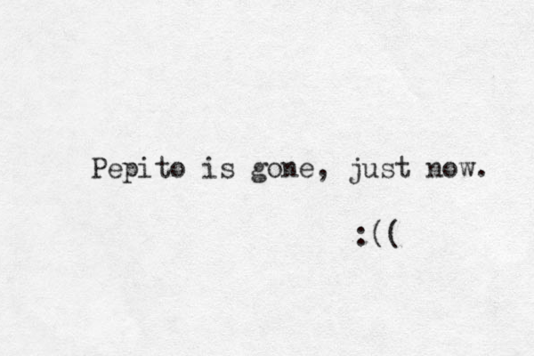 Pepito is gone, just now. :(( 