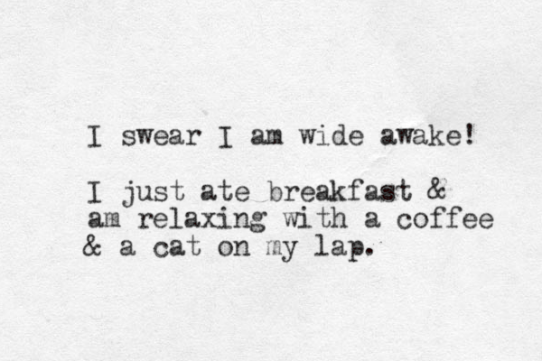 I swear I am wide awake! I just ate breakfast & am relaxing with a coffee & a cat on my lap. 