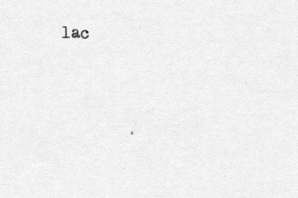 lac 