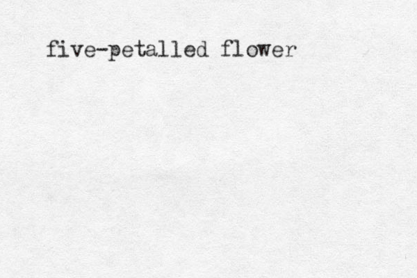 five-petalled flower 
