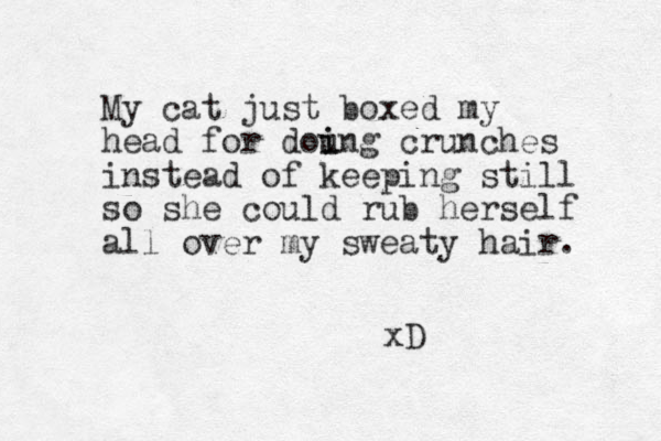 My cat just boxed my head for doung i i crunches instead of keeping still so she could rub herself all over my sweaty hair. xD 