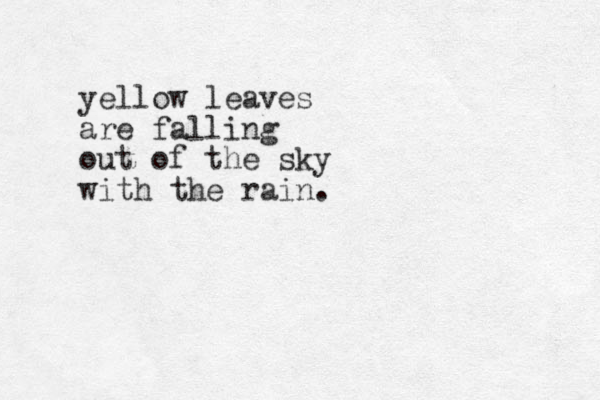 yellow leaves are falling out of the sky with the rain. 