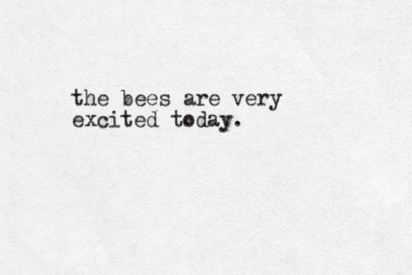 the bees are very excited today.