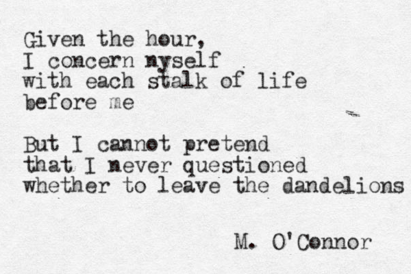 Given the hour, I concern nyself with each stalk of life before me But I cannot pretend that I never questioned whether to leave the dandelions M. O'Connor 