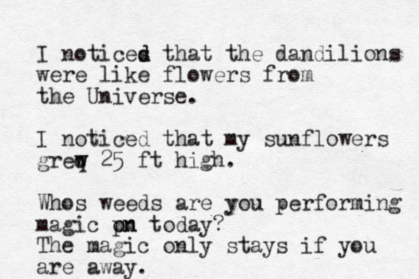 I notices d d that the dandilions were like flowers from the Universe. I noticed that my sunflowers greq w w 25 ft high. Whos weeds are you performing magic pn on today? The magic only stays if you are away. 