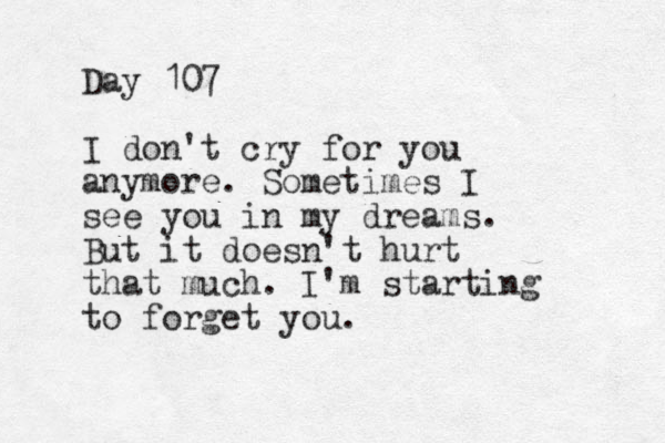 Day 107 I don't cry for you anymore. Sometimes I see you in my dreams. But it doesn't hurt that much. I'm starting to forget you.