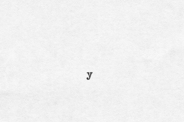 y 