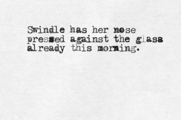 Swindle has her nose pressed against the glasa s already this morning. 