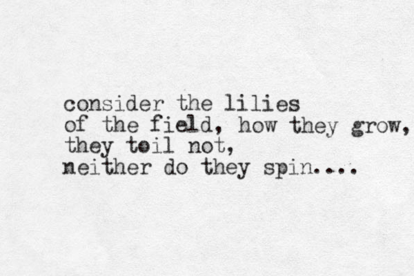 consider the lilies of the field, they toil not, neither do they spin.... how they grow, 