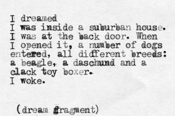 I dreamed I was inside a suburban house. I was at the back door. When I opened it, a number of dogs entered, all didferent breeds: a beagle, a daschund and a clack toy boxer. I woke. f (dream g f dragment)