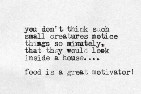 you don't think such small creatures notice things so minutely, that they would look inside a house.... food is a great motivator! 